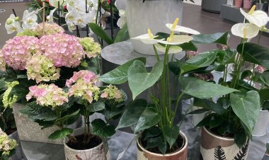 La fête des mères, un événement incontournable pour les fleuristes