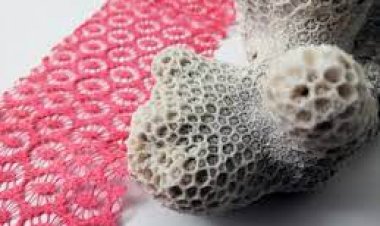 Corail Artefact : Le tissu au secours des barrières de coraux