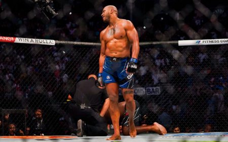 La folie du MMA s'empare de la France
