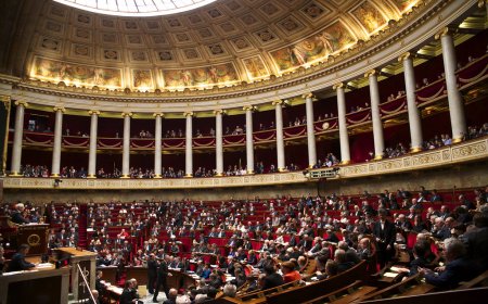 Le 49-3 : passage en force de la réforme des retraites ?