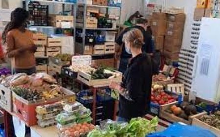 Précarité alimentaire : les étudiants peuvent compter sur ces aides