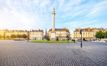 Nantes : la revue de presse politique de la Toussaint