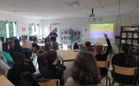 Violences Scolaires en Maine-et-Loire : de la prévention au plus proche de chez vous